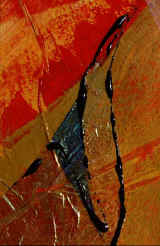 negre10.jpg (46293 octets)