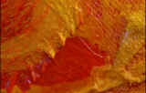 Dtail en macro 1/1