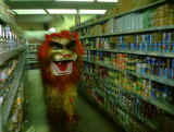 Lion dans le supermarch