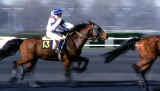 Trot mont