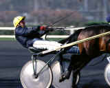 Expression de course
