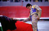 corrida2.jpg (65565 octets)